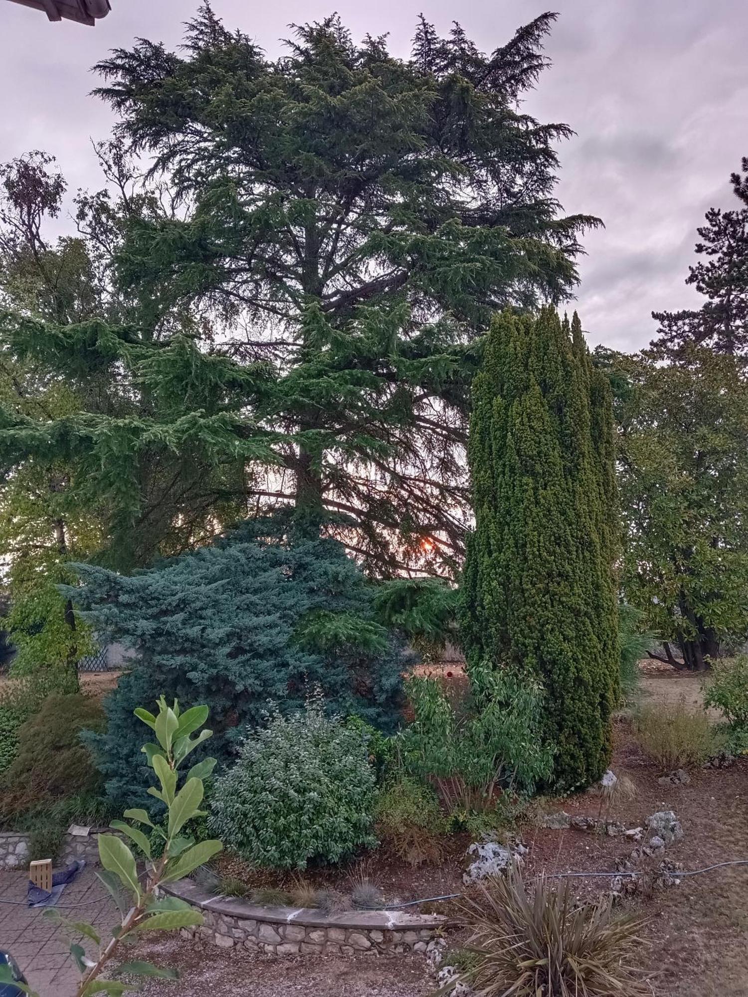 La Maison Basque Sainte-Livrade-sur-Lot Kültér fotó